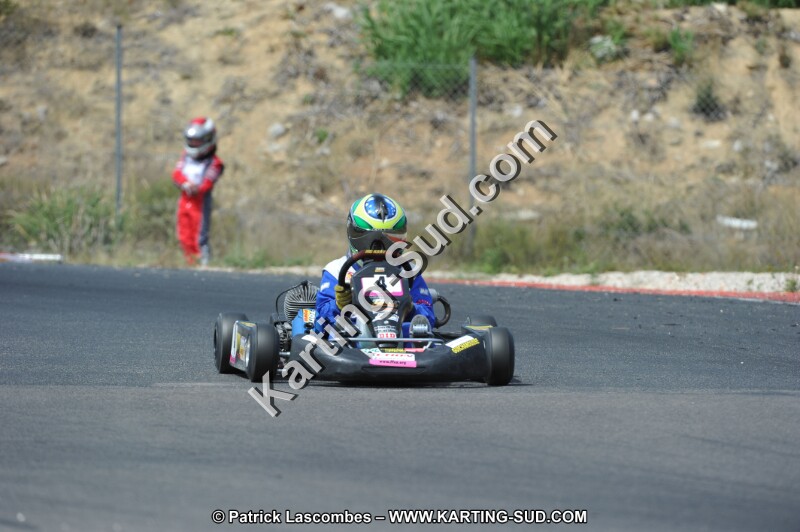 DSC (3130).JPG